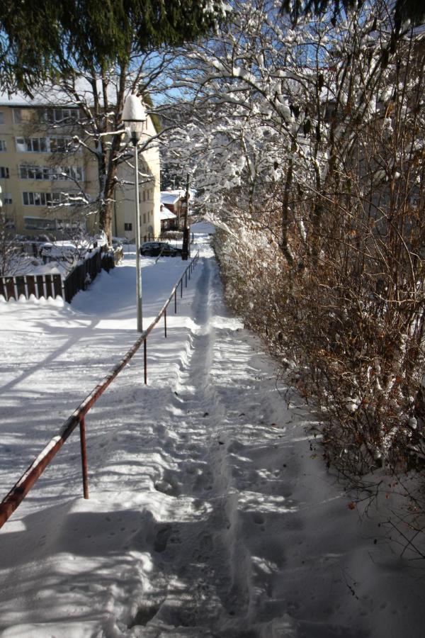 Orion Apartman Predeál Kültér fotó