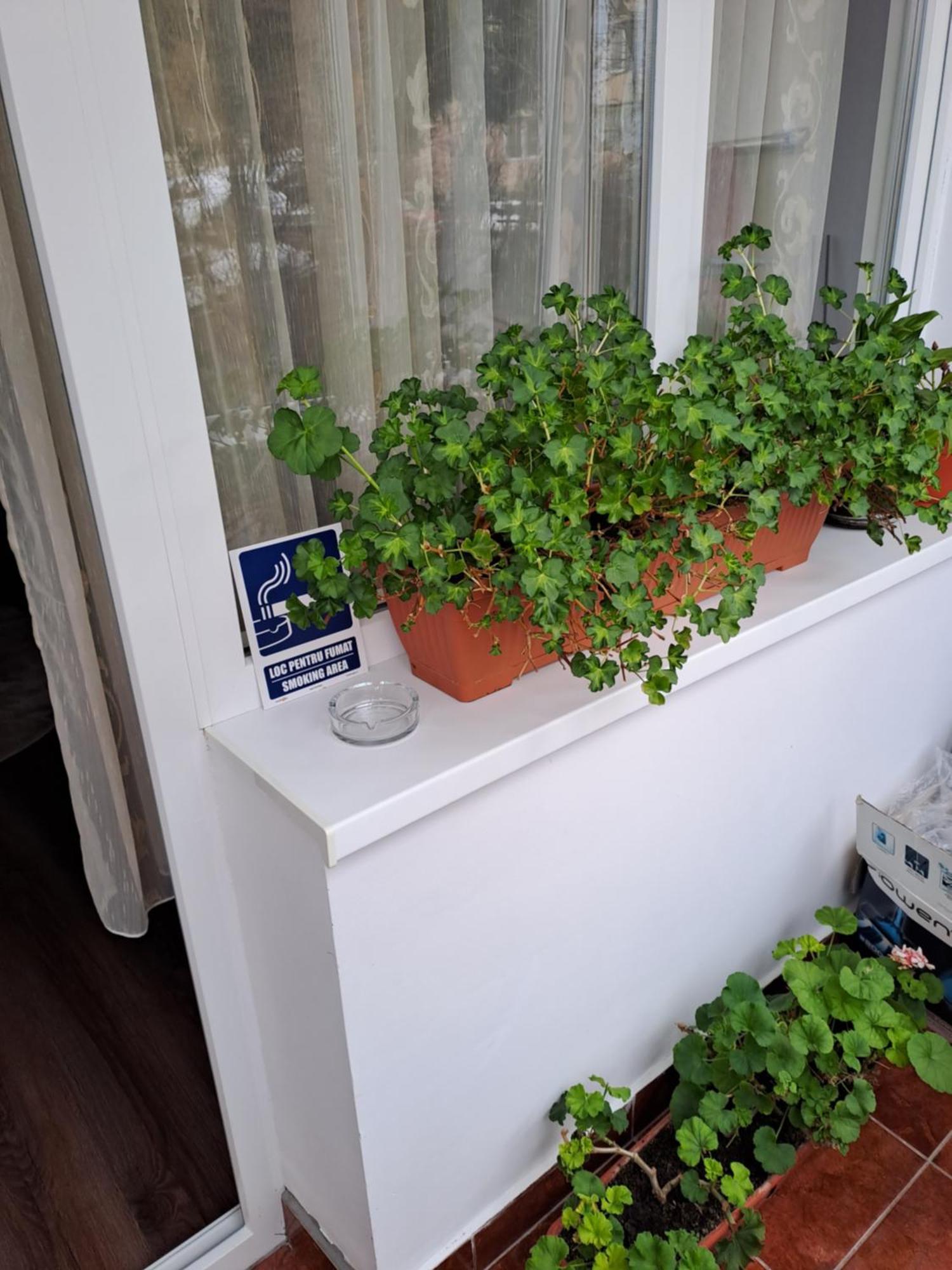 Orion Apartman Predeál Kültér fotó